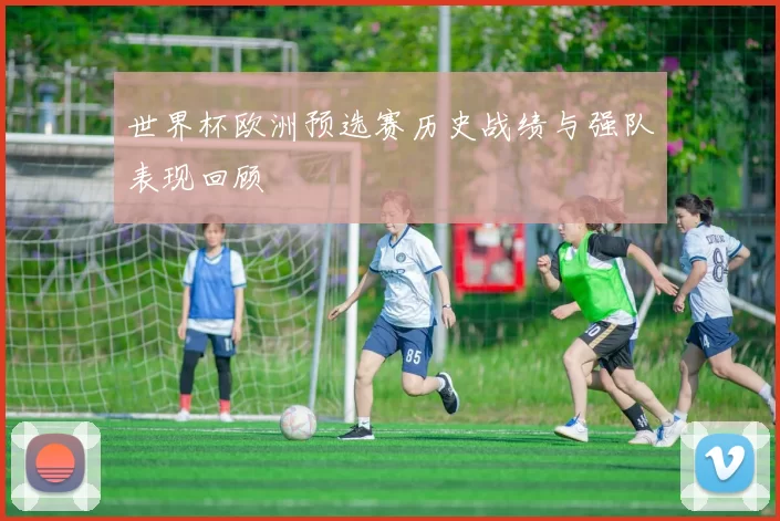 世界杯欧洲预选赛历史战绩与强队表现回顾