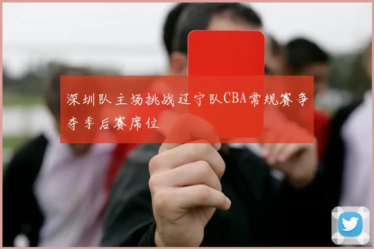 深圳队主场挑战辽宁队CBA常规赛争夺季后赛席位