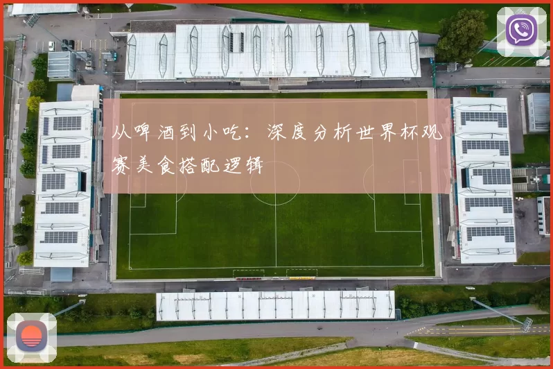 从啤酒到小吃：深度分析世界杯观赛美食搭配逻辑