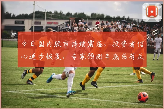 今日国内股市持续震荡，投资者信心逐步恢复，专家预测年底或有反弹机会