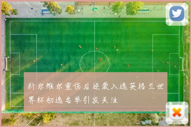 科尔维尔重伤后逆袭入选英格兰世界杯初选名单引发关注