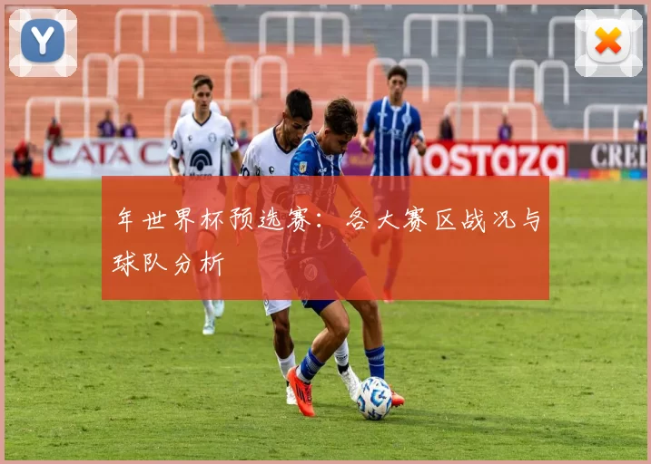 年世界杯预选赛：各大赛区战况与球队分析