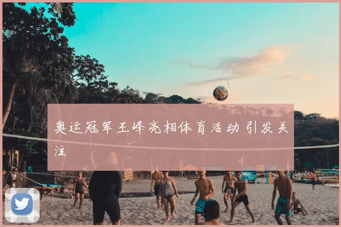 奥运冠军王峰亮相体育活动 引发关注