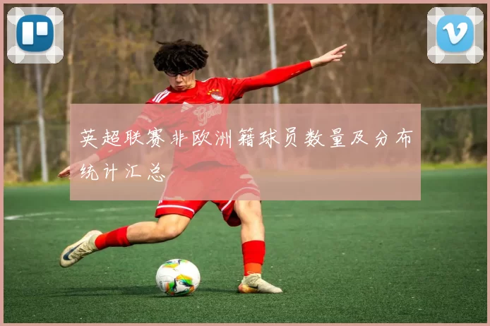 英超联赛非欧洲籍球员数量及分布统计汇总