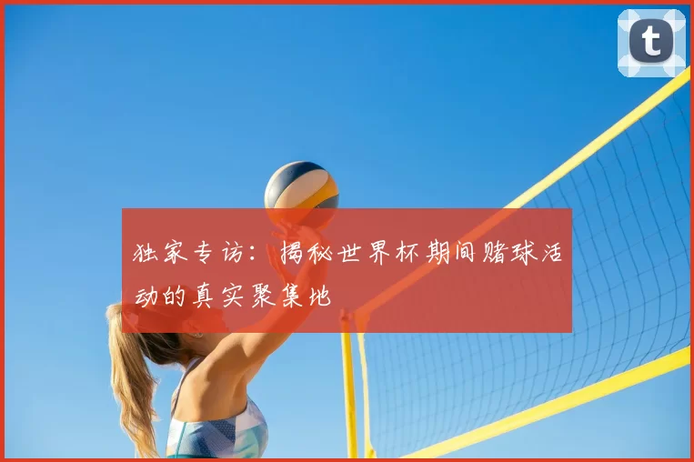 独家专访：揭秘世界杯期间赌球活动的真实聚集地