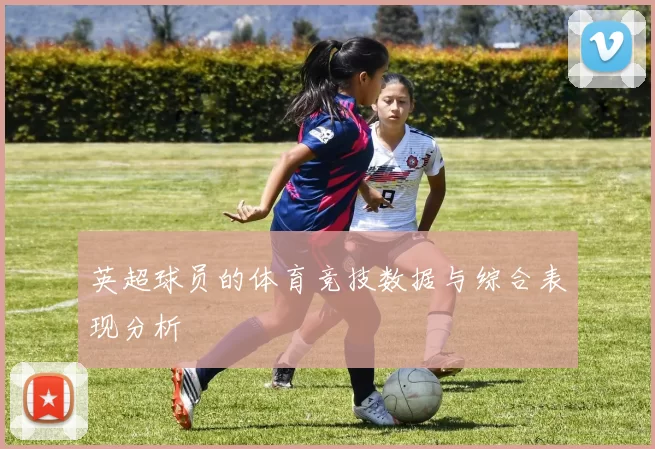 英超球员的体育竞技数据与综合表现分析