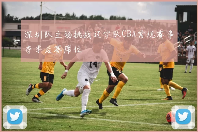 深圳队主场挑战辽宁队CBA常规赛争夺季后赛席位