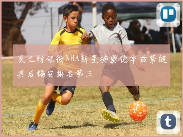 莫兰特领衔NBA新星榜爱德华兹紧随其后锡安排名第三